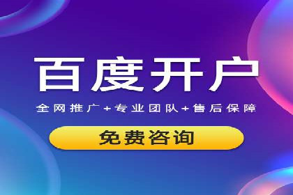 SEM运营公司成功案例解析
