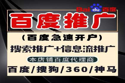 SEM推广技巧：成功案例深度剖析
